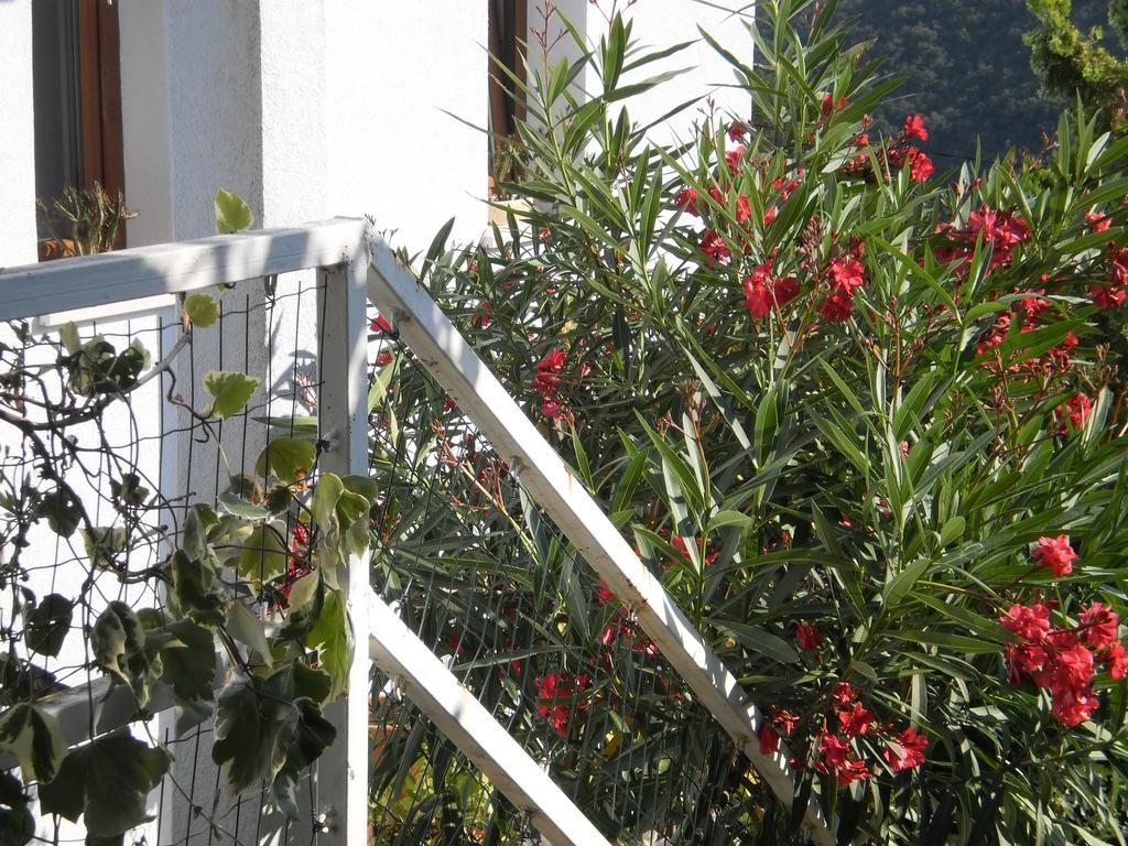 Apartment Haldej Mošćenička Draga Værelse billede